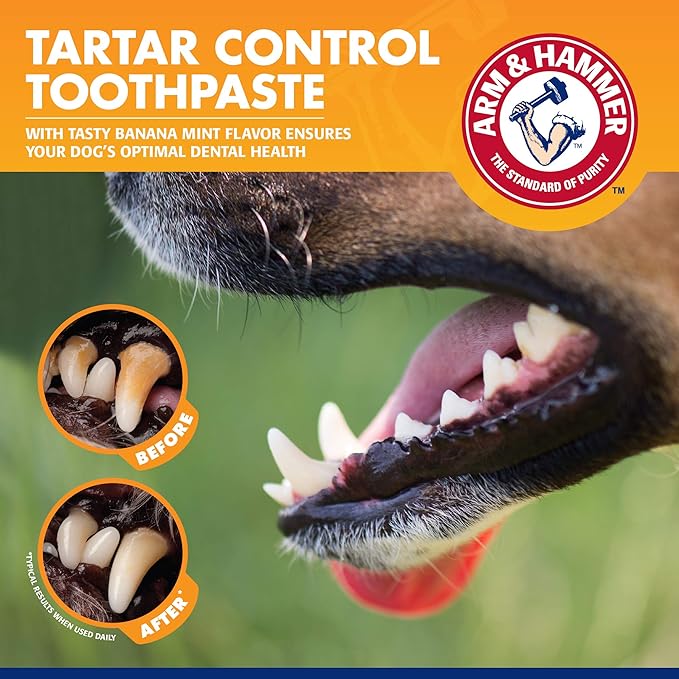 Arm & Hammer for Pets Tartar Control Dog Dental Care Kit, Dog Toothpaste Kit with Toothbrush and Finger Brush for Oral Hygiene and Fresh Breath Care, Banana Mint Flavor, 2.5 oz, 3-Piece Kit - 48 Pack