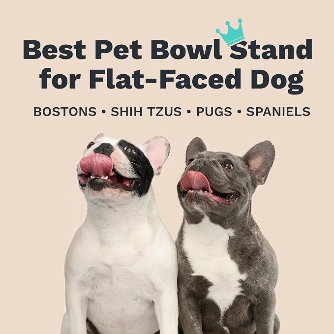 Enhanced Pet Bowl Stand - New Anti-Skid Feature - Dog and Cat Bowl Stand Exclusively for Use with The Corresponing Size Enhanced Pet Bowl (Small)