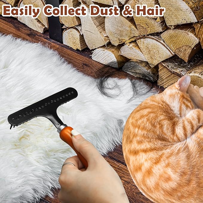 HINGTAI Portable Carpet Rake, Matted & Shag Rug Rake, 6.0 x 4.3 inches, Black