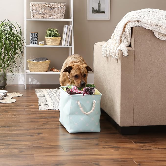 Bone Dry Pet Storage Paw and Bone, Trellis Collection, Medium Rectangle, 16x10x12, Aqua
