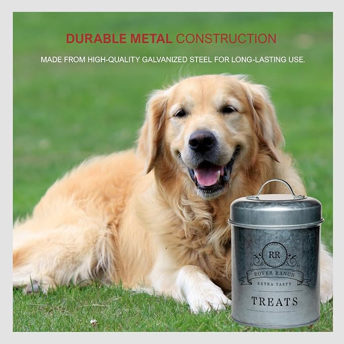 Amici Home Rover Ranch Metal Pet Treat Canister, 64 Oz - Silver | Airtight Treat Storage Jar with Silicone Gasket, Wide Mouth, Lid Handle, Pet Snack Container for Biscuits & Training Bites