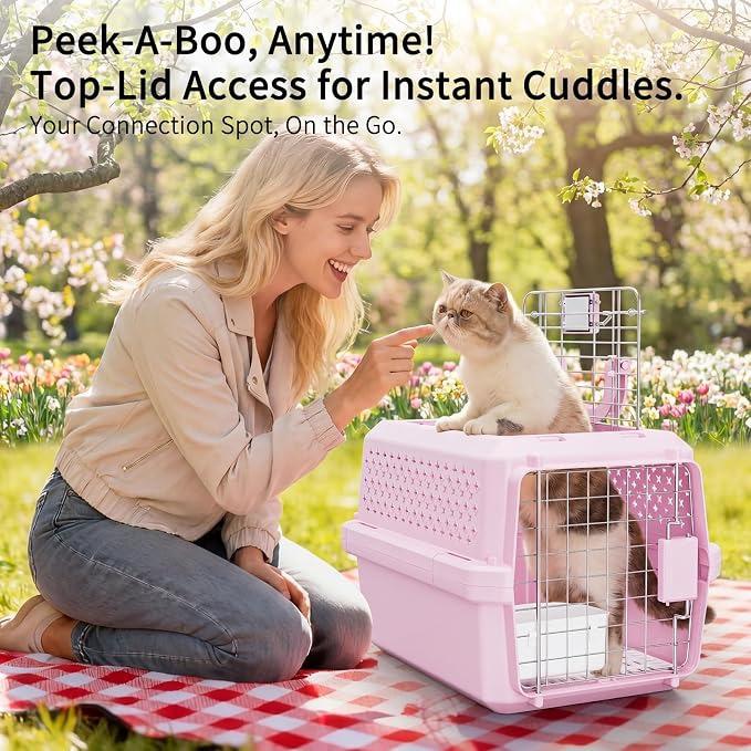 Airline Pet Carrier: Hard-Sided Small Cat & Dog Crate with Bowl | Airline-Approved Size / Durable Metal Locking Door / 360° Ventilation Panels / Top Handle for Easy Carry / Lightweight Shell