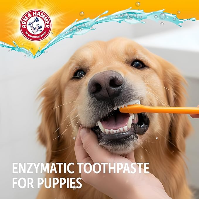 Arm & Hammer Complete Care Puppy Dental Kit, Enzymatic Toothpaste with Baking Soda and Calcium for Dogs, Peanut Butter Flavor, Toothbrush and Microfiber Brush Included, Fluoride-Free, 2.5 Oz - 2 Pack