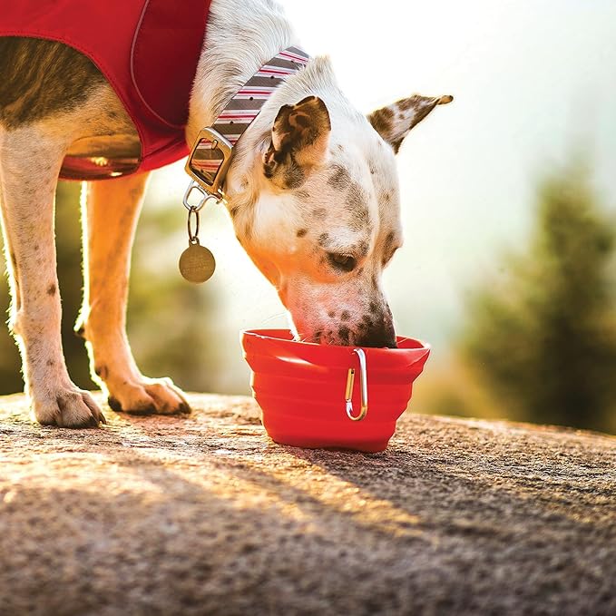 Kurgo Collapsible & Portable Travel Dog Bowl for Food & Water | Portable Water for Dogs | Food Grade Silicone Collapsible Dog Bowl | Pet Travel Accessories | BPA Free | Holdsup to 24 oz | Red