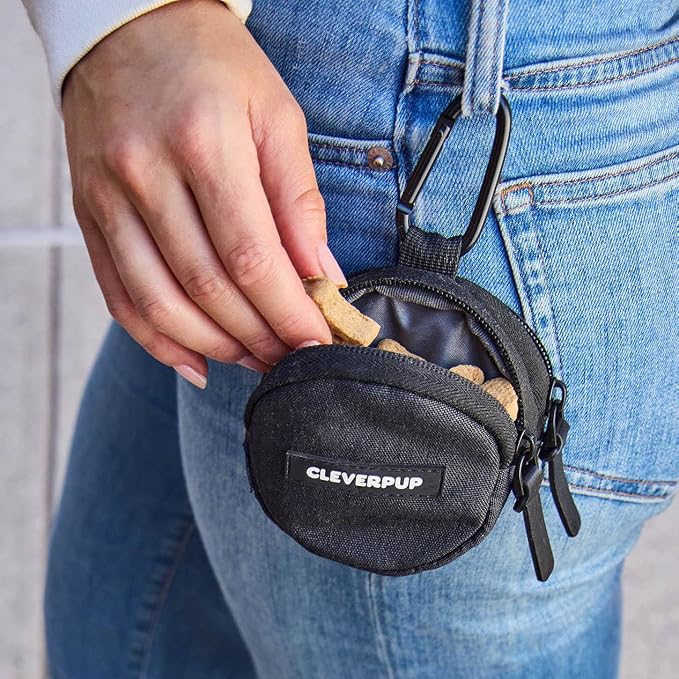 Cleverpup Snackpack Double Insulated Dog Treat Pouch – 1.5 Cup Capacity, 2 BPA-Free Waterproof Zipper Pockets, Carabiner for Belt/Leash – Compact Training & Travel Bag – Graphite