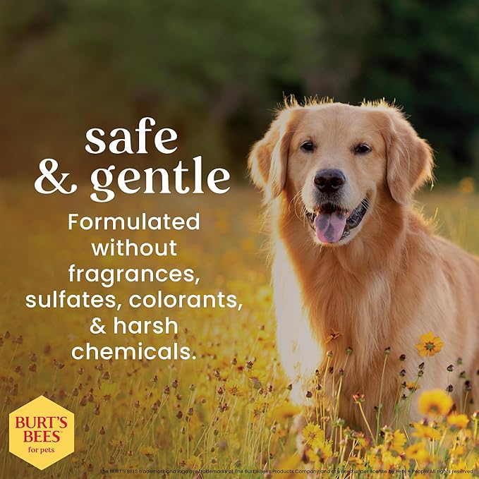 Burt's Bees for Pets Honey Multipurpose Dog Grooming Wipes, Gentle Hypoallergenic Spot Cleaning Sheets, pH Balanced Natural Origin Formula for Paws, Face and Butt, 50 Count