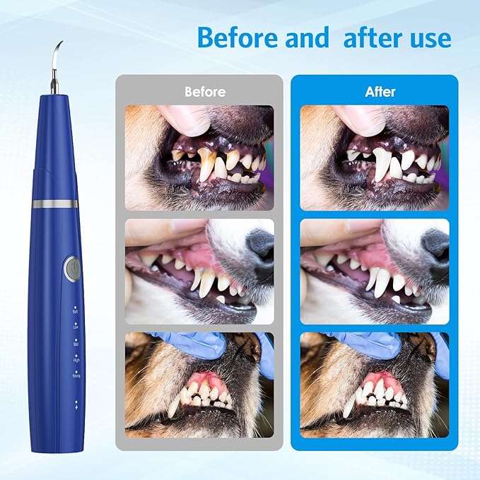 AMIR Ultrasonic Pet Plaque Remover, Electric Teeth Cleaning Kit for Dogs & Cats with 5 Modes, LED Light, IPX6 Waterproof, USB Rechargeable Toothbrush Cleaner for Dogs Cats (Blue)