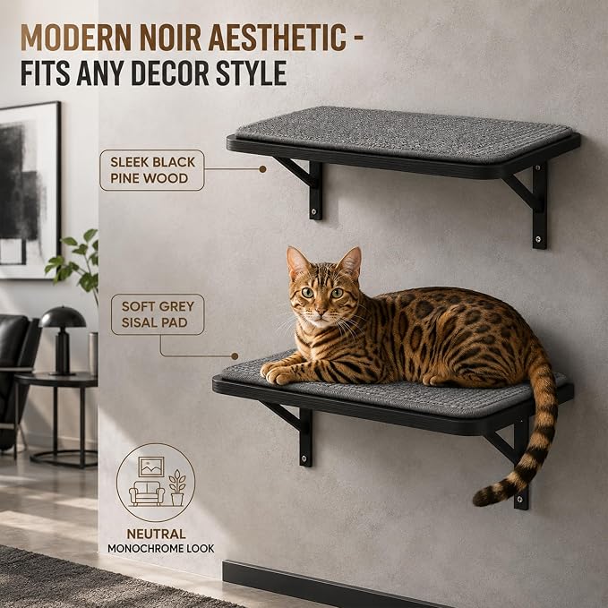Cat Wall Shelves Set of 2, Black Solid Wood Cat Window Perch with Grey Sisal Cushion, Wall-Mounted Space-Saving Climbing Bed, Lounging Shelf for Kittens & Cats, Black Furniture for Indoor