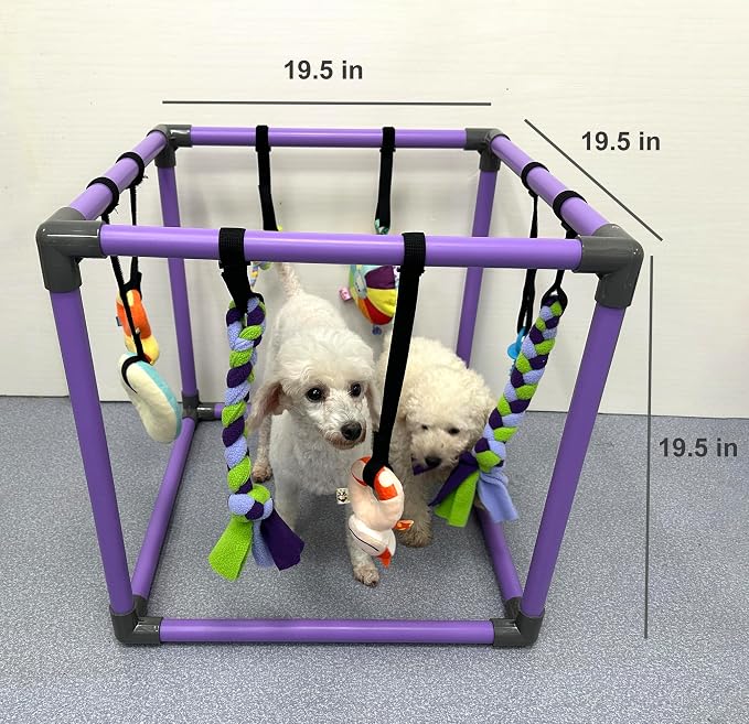 Puppy Play Gym for small dogs with 8 Hanging Interactive Toys Indoor Play | Funny Enrichment Jungle Playground to Keep Them Busy，with Bungee Straps for self-play,19.5*19.5*19.5in