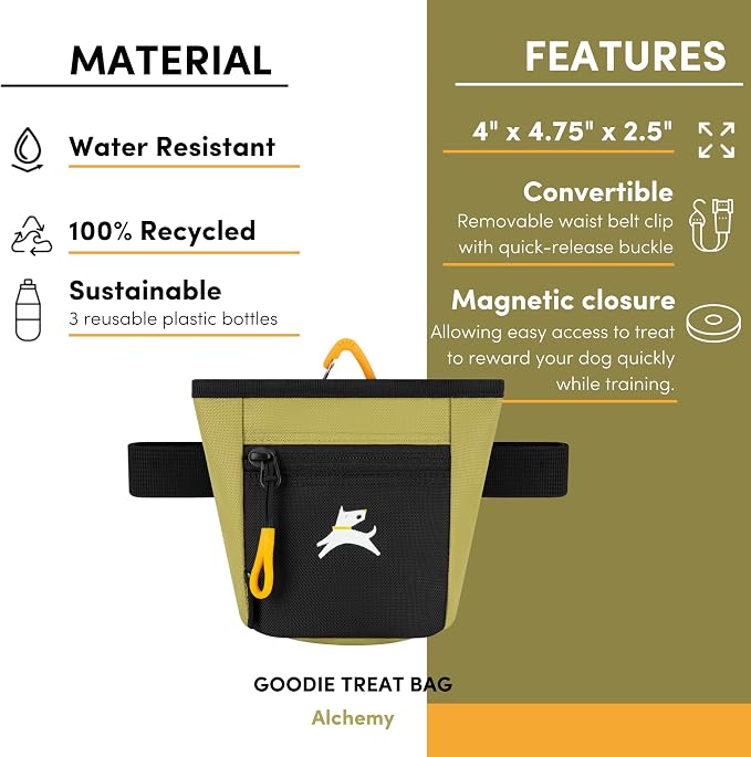 OllyDog, Goodie Treat Bag, Dog Treat Training Pouch | Magnetic Closure | 3 Ways to Wear | Hands-Free Waist Belt | Water-Resistant Recycled Vegan Fabric (Alchemy)