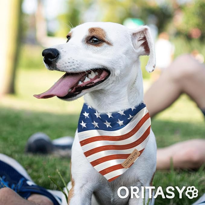4th of July Dog Bandanas, 2-Pack Triangle Reversible Pet Scarves, Premium Fabric, US Flag Bandana for All Dogs (X-Large, Style 3)