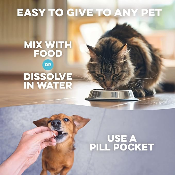 Itch Relief and Ear Infection Treatment for Dogs & Cats, Natural Ear Mites Treatment for Cats and Dogs Soothes Itchy Ears, Reduces Swelling, Otitis, Pain & Inflammation, 400 Easy to Give Tiny Pills