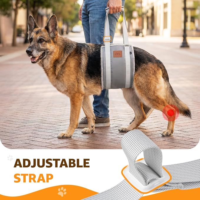 Adjustable Dog Sling for Extra Large Dogs Mobility Aid for Weak Rear Legs | Sturdy Support, Helps Seniors, Injured, Disabled and After ACL Surgery Dogs, Saves Your Back, Soft Padding, Daily Walk/Stairs