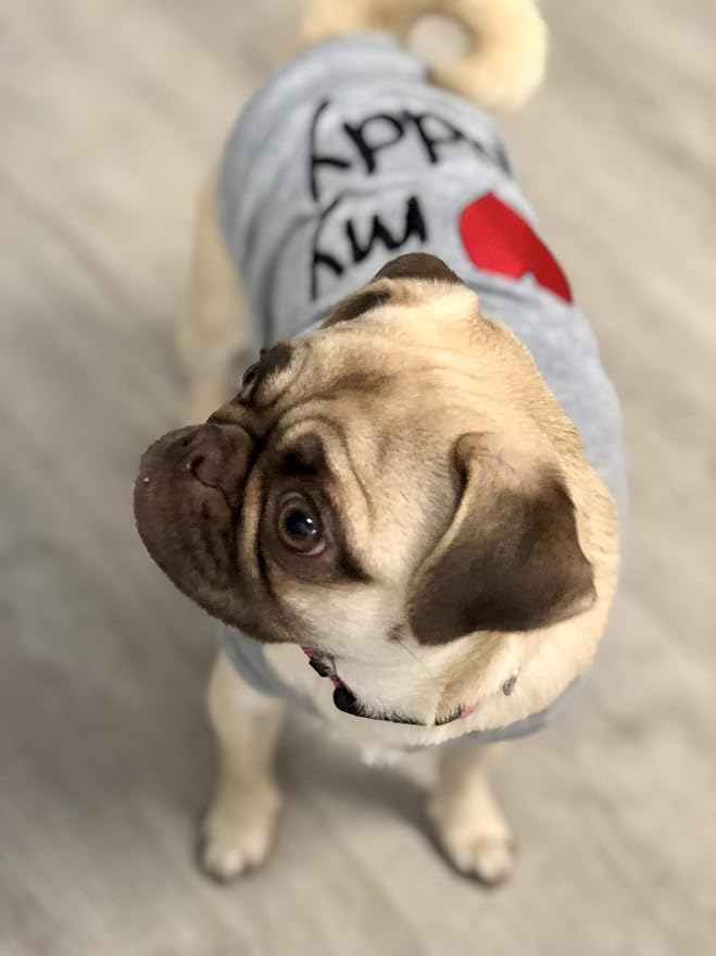 Parisian Pet Dog Shirt - 100% Cotton Shirts for Large Dogs - Grey Sleeveless Dogs Clothes - Lightweight and Breathable Puppy Clothes - Stretchy Dog Apparel - I Love My Daddy T Shirt for Pet