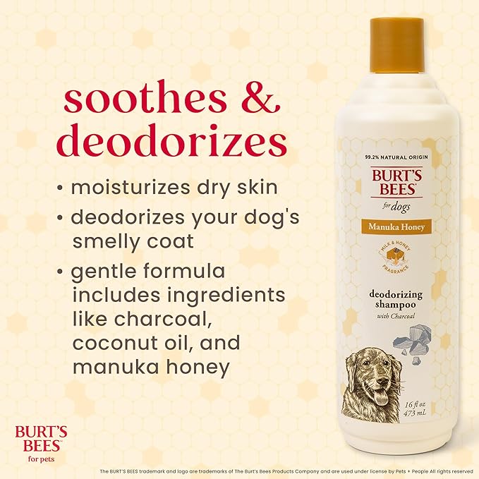 Burt's Bees for Pets Deodorizing Shampoo for Dogs, Manuka Honey & Charcoal, Reduces Odor, 95%+ Natural Origin, No Sulfates, Parabens or Phthalates, Leaves Milk & Honey Scent, 16 Fl Oz