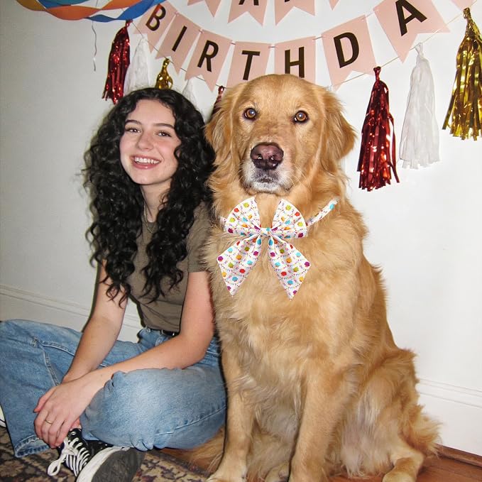 PET Show 10 Pack Happy Birthday Sailor Dog Bowties for Large Dogs