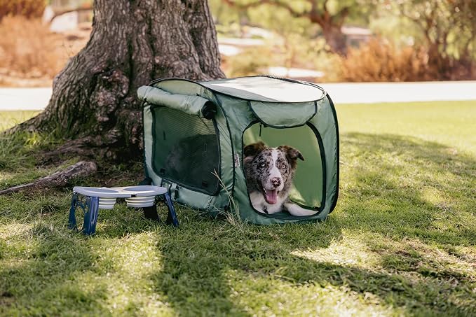 SportPet Designs Soft-Sided Pop-Open Pet Kennel, Medium Portable Travel Crate for Cats & Dogs up to 50 lbs, Foldable Car Kennel with Seatbelt Straps & Washable Waterproof Pad, Green