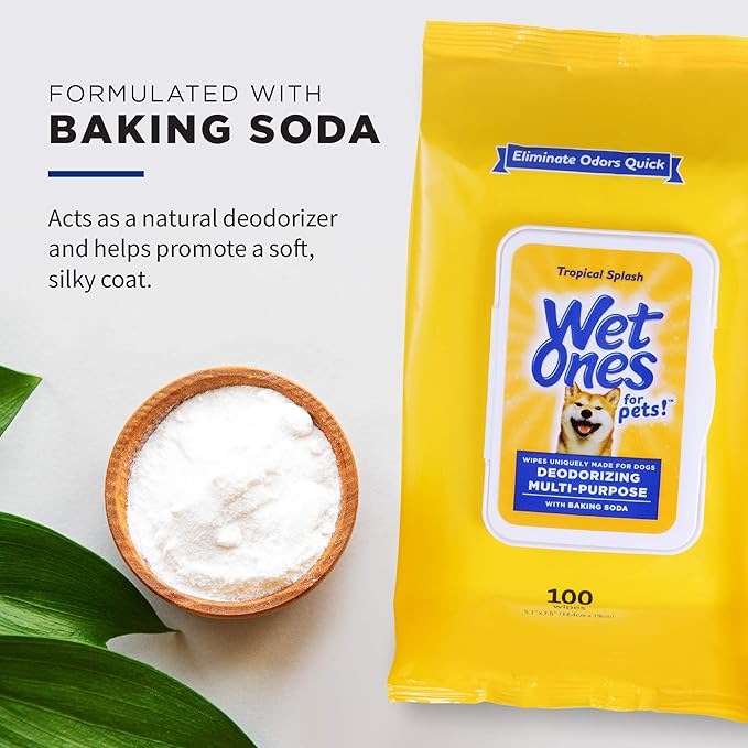 Wet Ones for Pets Deodorizing Multipurpose Dog Wipes with Baking Soda, Tropical Splash Scent - Deodorizing Dog Grooming Wipes with Wet Lock Seal, 100 Count - 12 Pack