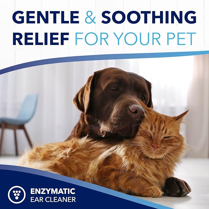 TropiClean OxyMed Enzymatic Dog Ear Cleaner, Treatment for Dogs, Vet Recommended Ear Cleaning Solution, Daily Wash Drops, Safe for Cats, USA Made, 4oz
