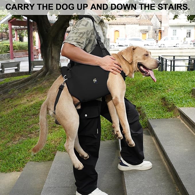 Coodeo Dog Lift Harness, Pet Support & Rehabilitation Sling Lift Adjustable Padded Breathable Straps for Old, Disabled, Joint Injuries, Arthritis, Loss of Stability Dogs Walk (Black, M)