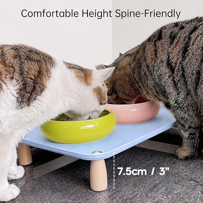 Large Elevated Cat & Dog Bowl Stand,3 inch Height Raised Feeder Compatible with Most Automatic Pet Feeders & Water Fountains, Anti-Slip & Spill-Proof Large Pet Food Tray,17 x 12 Inches (Blue)