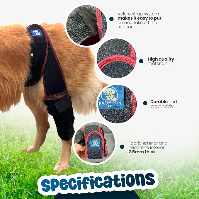 Dog Knee Brace Adjustable Front Hind Leg Brace for Cruciate Ligament Injury, Luxating Patella, Torn ACL