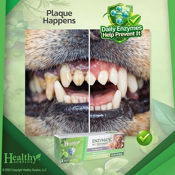 Healthy Surplus 4 Oz - Enzymatic Dog Toothpaste (Poultry - Chicken Flavor) for Dogs & Cats - Compare to Virbec CET - Fresh Breath, Plaque & Tartar Control - Advanced 5-Enzyme Pet Toothpaste