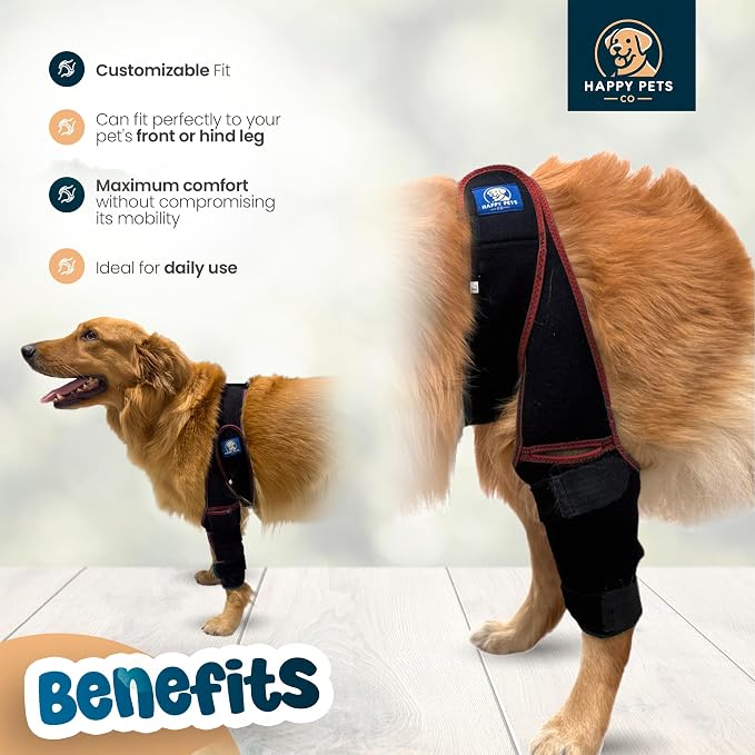 Dog Knee Brace Adjustable Front Hind Leg Brace for Cruciate Ligament Injury, Luxating Patella, Torn ACL