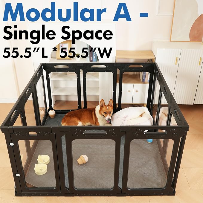 Clear Acrylic Indoor Dog Playpen, 24" H, 12 Panels, Black | Open View, Modern Home, No Climbing Bars, Tool-Free Setup, For Puppies & Small Dogs