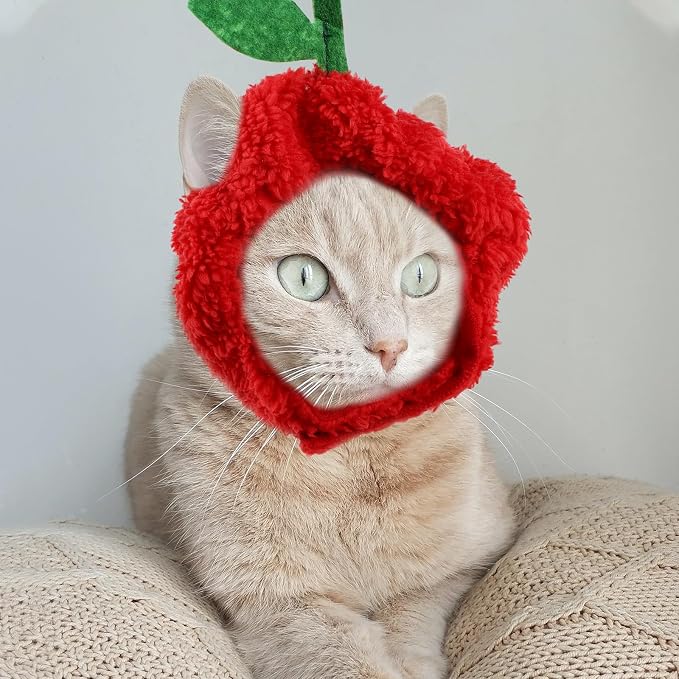 FOMIYES 4pcs Adorable Pet Hat Fruit Shape Dog and Cat Hat Comfortable Cloth Material Sweet and Stylish Design for Autumn and Winter Dress up Costume