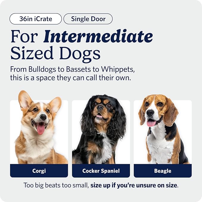Midwest 36-Inch Single Door iCrate, for Medium-Large Breeds, 41-70 lbs