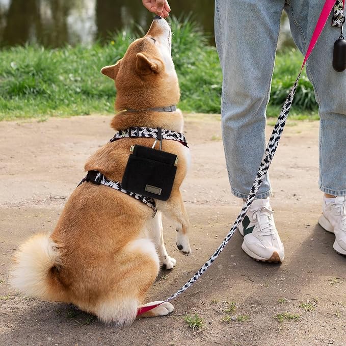 Dog Treat Pouch, Portable Auto Closing Dog Training Treat Bag with Carabiner, Hands Free Pocket Sized Snack Reward Pouch for Puppy Walking Travel Outdoor Use, Black