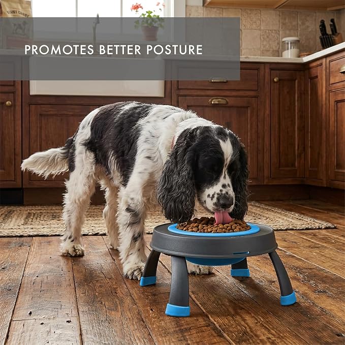 Dexas Pets Elevated Pet Feeder, Large, 4 Cup Capacity, Pro Blue, Raised Pet Food and Water Bowl