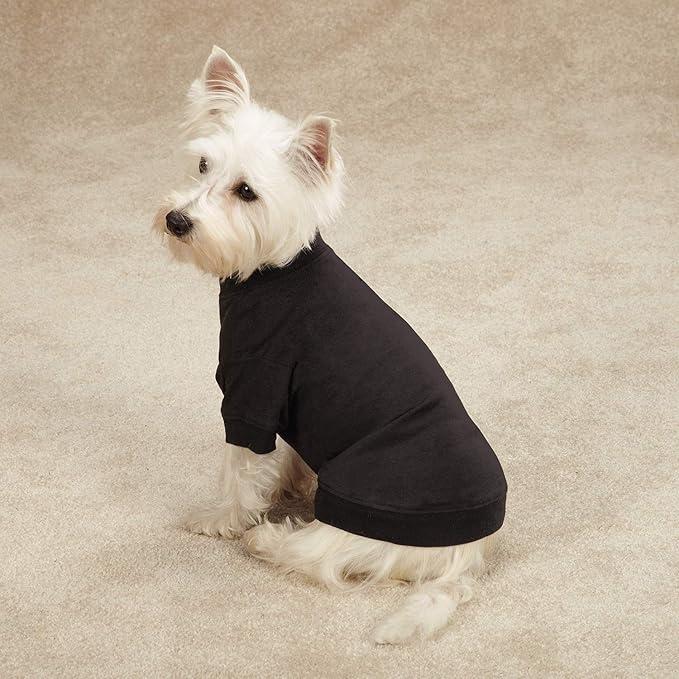 Zack & Zoey Basic Tee Shirt for Dogs, 20" Large, Black