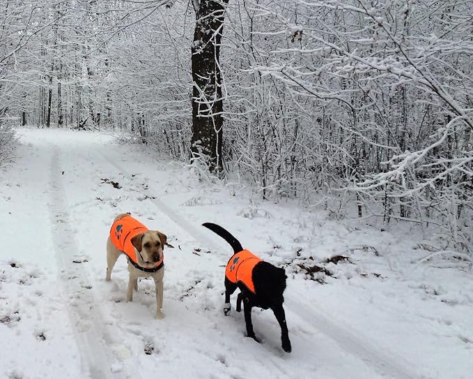 Blaze Orange Dog Vest. Reflective High Visibility in Hunting & Wooded Areas