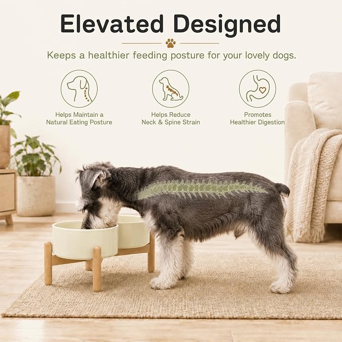Havniva Ceramic Dog Bowls Elevated, Raised Dog Food Bowl for Small Dogs | 6.1” Elevated Dog Bowls, Non-Slip Wood Stand, Dog Food and Water Bowl Set, Dog Feeding Dish, Large Capacity Pet Water Bowl