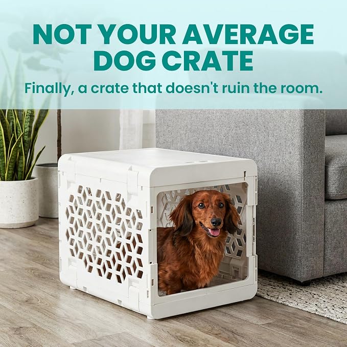 PAWD Collapsible Puppy and Dog Crate - Stylish Pet Kennel - Safe Indoor Kennel- Lightweight, Compact & Portable for Travel - Small White