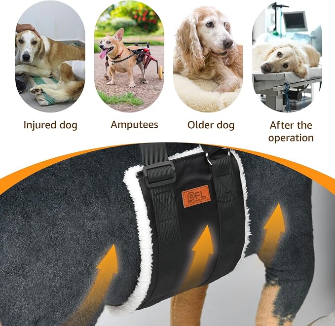 Adjustable Dog Sling for Extra Large Dogs Mobility Aid for Weak Rear Legs | Sturdy Support, Helps Seniors, Injured, Disabled and After ACL Surgery Dogs, Saves Your Back, Soft Padding, Daily Walk/Stairs