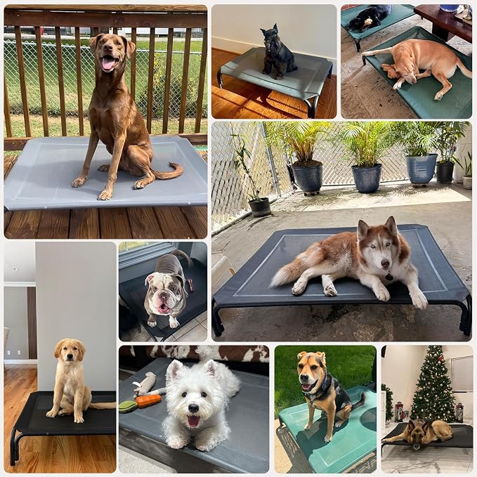 Elevated Dog Bed Outdoor Cooling Raised Cot for XL Dogs, Green 48.8in | Tool-Free Installation; Washable Cooling Breathable Mesh; Anti-Slip Feet; Indoor & Outdoor Use