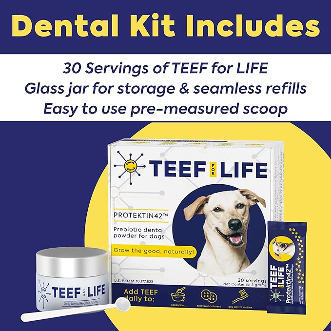 Teef For Life Protektin42 Plant-Derived Prebiotic Dental Powder for Dogs, Daily Dental Care, Clinically-Proven Formula Naturally Fights Plaque and Tartar, Dental Kit with 180 Servings