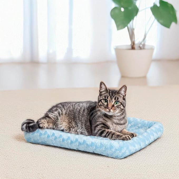 MidWest Homes for Pets QuietTime Fashion XXS Dog Bed – Blue Faux Fur Bolster, Ultra-Soft and Machine Washable, Fits 18-Inch Crates and Carriers, for Small Dogs and Cats (Pack of 2)