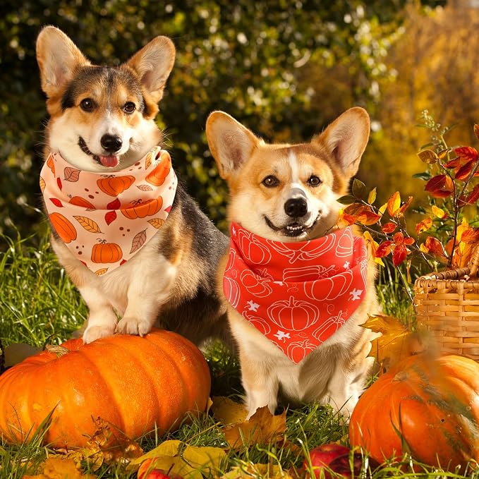 Abbylike 50 Pcs Fall Dog Bandanas Bulk, Autumn Harvest Pumpkin Pattern