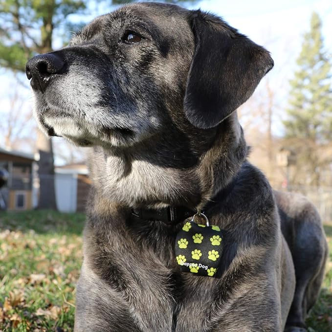Dapper Dog - Dog Tag Silencer with Tag Ring (Yellow Paw Prints)