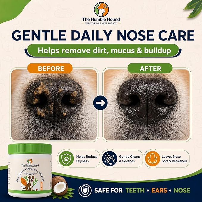 3-in-1 Dog Dental Wipes – Finger Wipes for Teeth, Ears & Snout Infused with Coconut Oil | Promotes Fresh Breath, Tartar Control & Daily Hygiene | Gentle Grooming Wipes for All Dogs – 50 Count