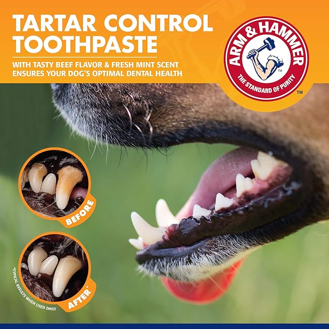 Arm & Hammer for Pets Tartar Control Dog Dental Kit, Enzymatic Toothpaste with Toothbrush and Fingerbrush, Baking Soda Formula Reduces Plaque and Tartar, Safe for Puppies, Beef Flavor, 3 Pc - 48 Pack
