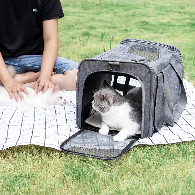 GAPZER Pet Carrier for Large Cats up to 20lbs Soft-Sided Privacy Protection | Pet Crate for Medium to Big Kitten Small Puppy Transport, Washable Dog Cloth Carry Bag Home Outdoor Car Travel, Vet Visits