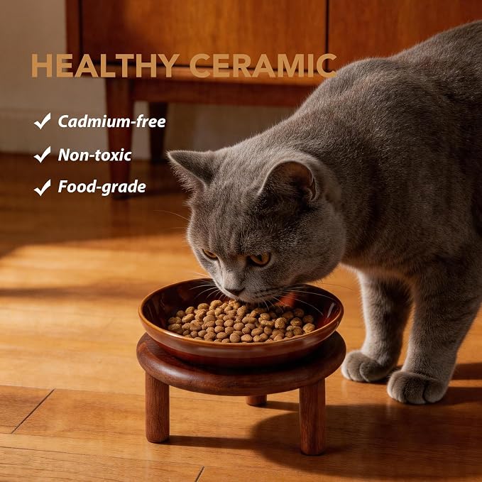 Havniva Elevated Cat Bowls, Ceramic Cat Bowl with Wood Stand, Wide Opening | 5.7” Raised Cat Food Bowls, Whisker Friendly Cat Dish, Anti-Slip Cat Water Bowls, Shallow Cat Bowls, Cat Food & Water Bowl