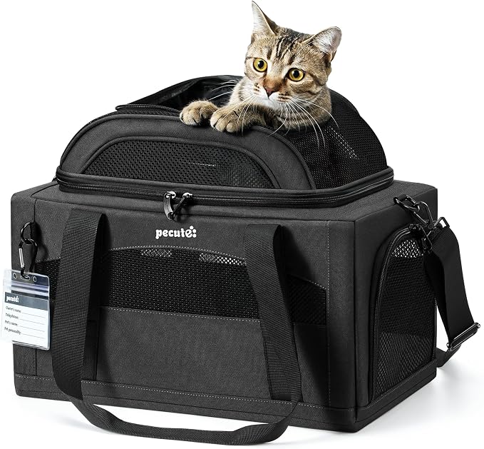 Pecute Top Expandable Airline Approved Pet Carrier for Cats, Dark Gray | Top side expandable, breathable scratch-resistant mesh, leakproof pee pad, locking zippers, foldable travel bag under 11lbs.
