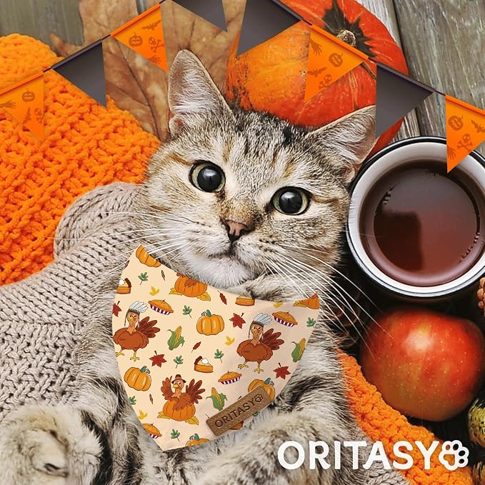 Thanksgiving Fall Dog Bandanas, 2-Pack Triangle Reversible Turkey Pumpkin Pet Scarves, Premium Fabric, Bandana for All Boys Girls Dogs (Large, Style 1)