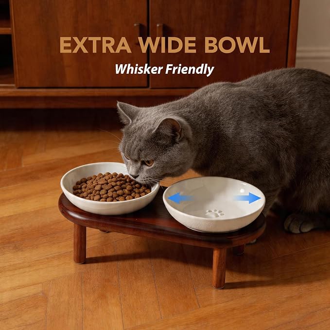 Havniva Elevated Cat Bowls, Ceramic Cat Bowl with Wood Stand, Wide Opening | 5.7” Raised Cat Food Bowls, Whisker Friendly Cat Dish, Anti-Slip Cat Water Bowls, Shallow Cat Bowls, Cat Food & Water Bowl